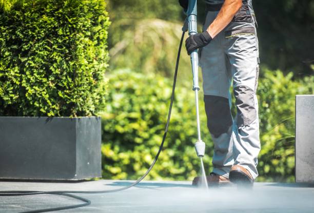 Best Spring Cleaning  in Isanti, MN