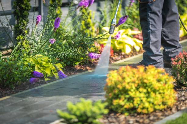 Isanti, MN Pressure Washing Services Company